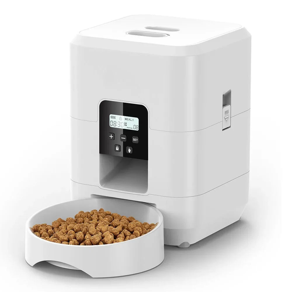 Automatic cat feeder