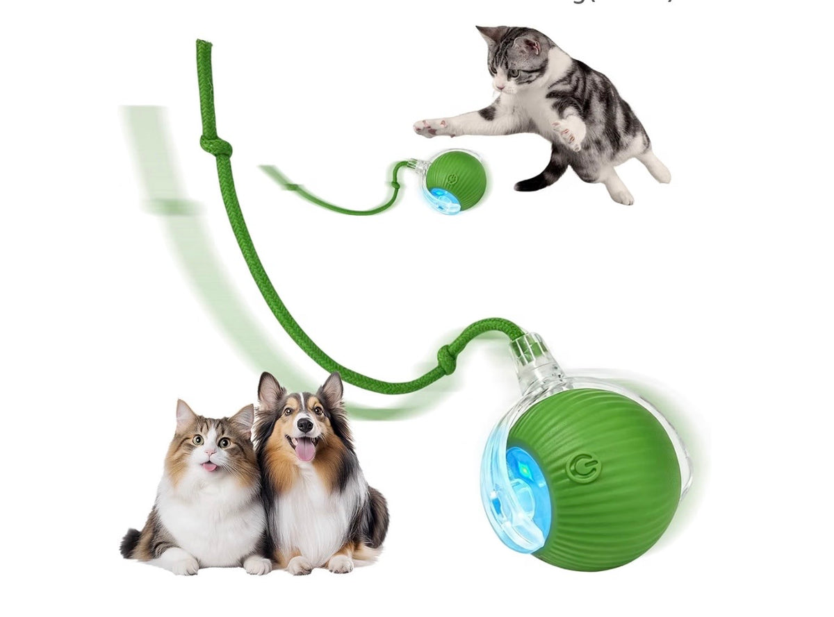 PurrPlay™ Smart Rolling Ball