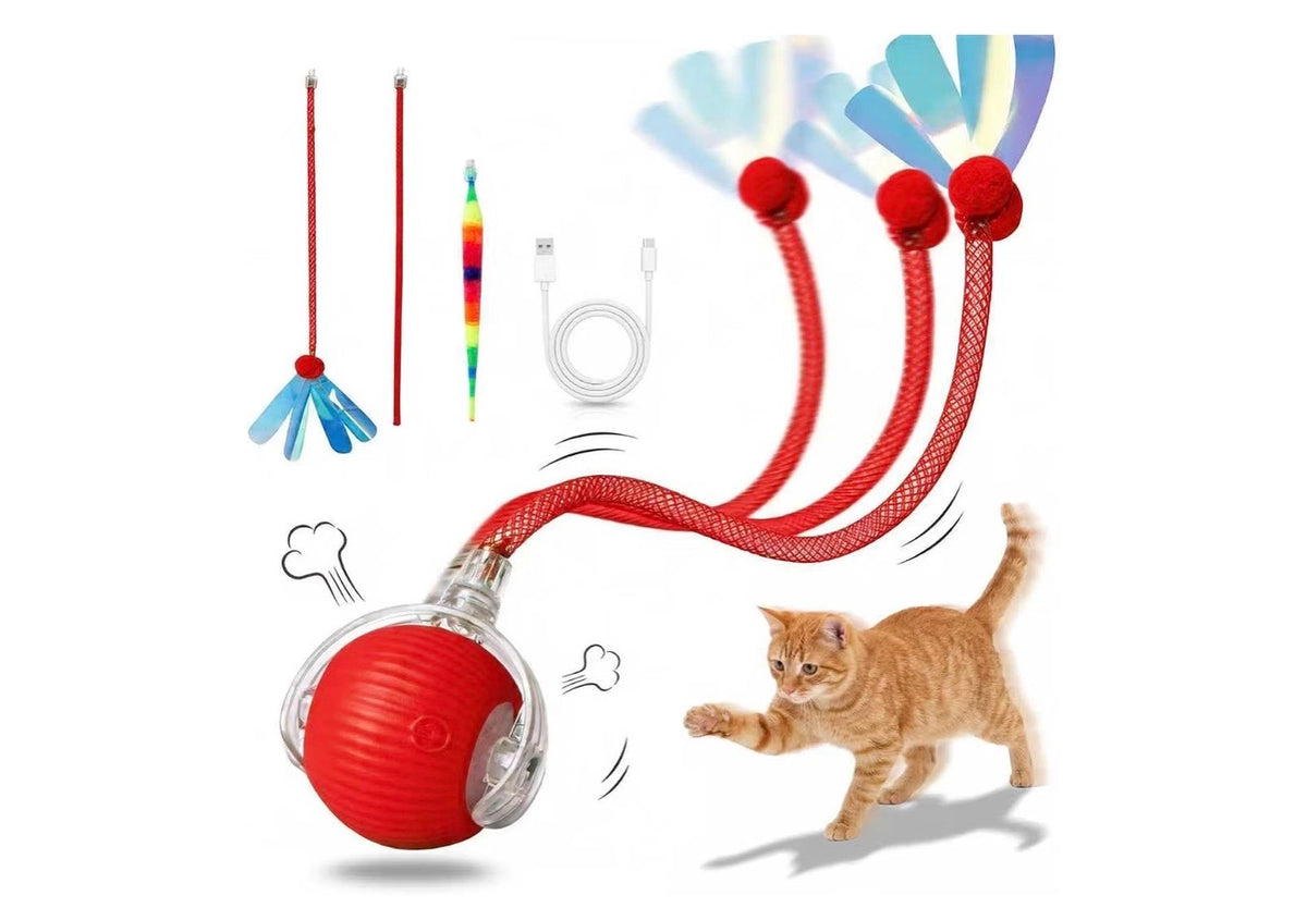 PurrPlay™ Smart Rolling Ball