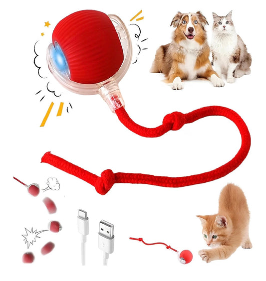 PurrPlay™ Smart Rolling Ball