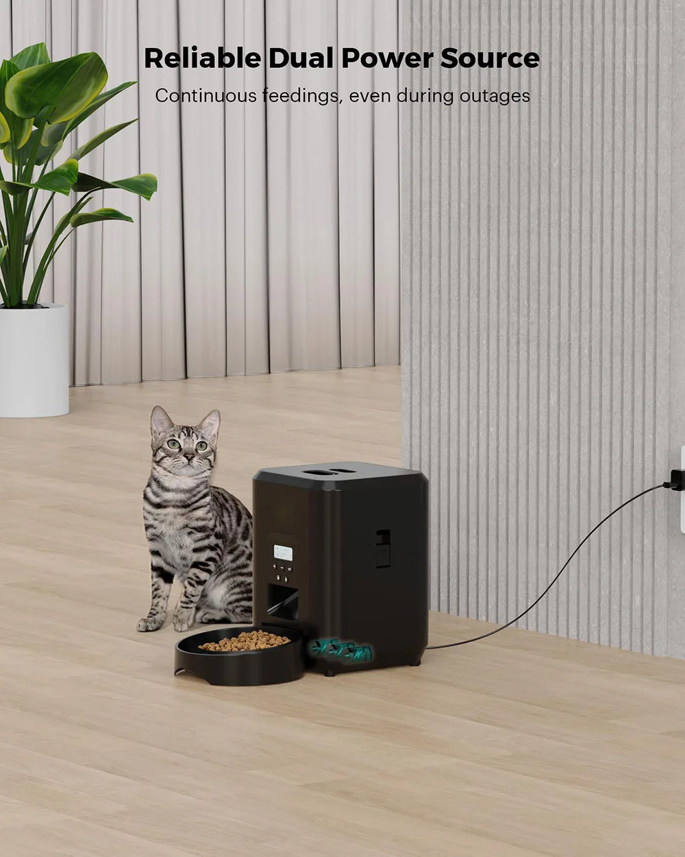 Automatic Cat Feeder