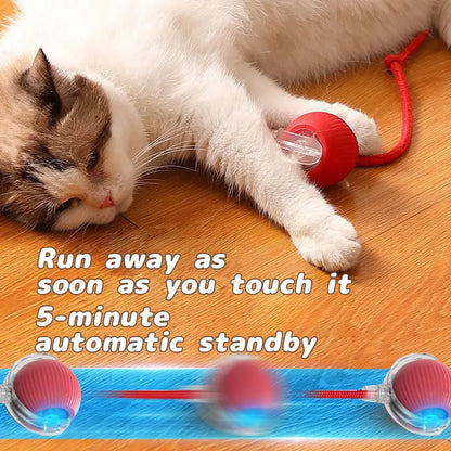 PurrPlay™ Smart Rolling Ball