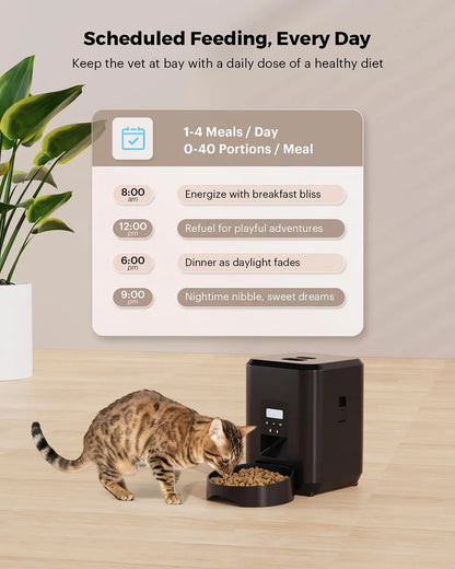 Automatic Cat Feeder