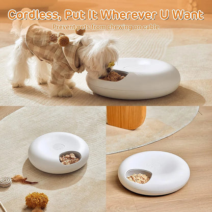 Automatic Wet Food Feeder