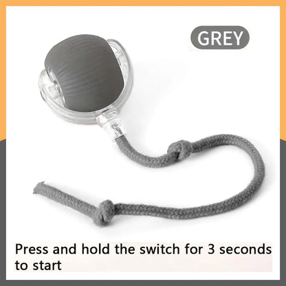 PurrPlay™ Smart Rolling Ball
