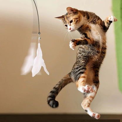 PurrPlay™Feather Teaser Wand Toy