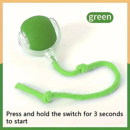 PurrPlay™ Smart Rolling Ball