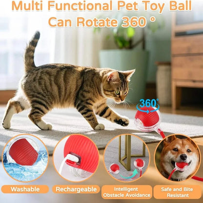 PurrPlay™ Smart Rolling Ball
