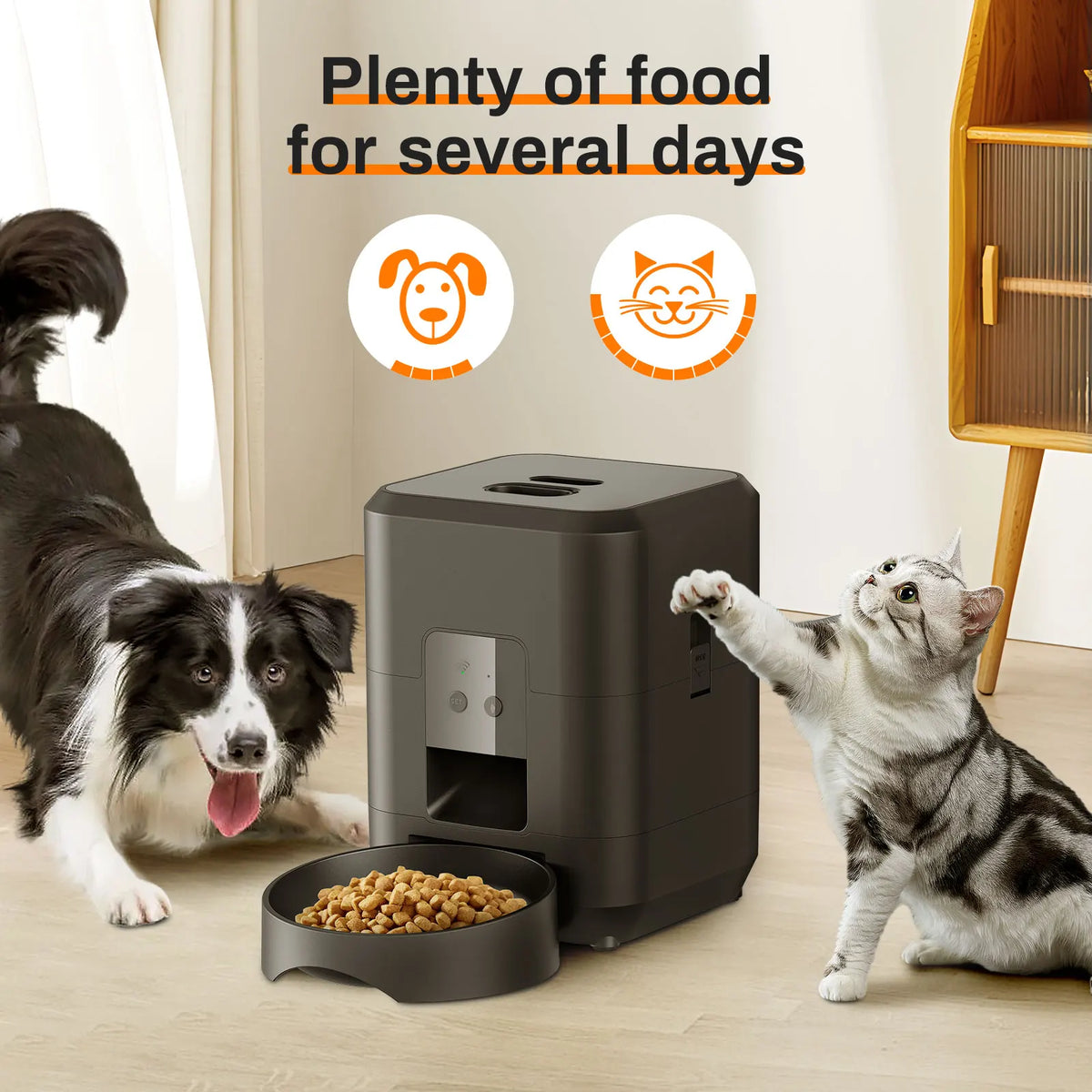 Automatic Cat Feeder
