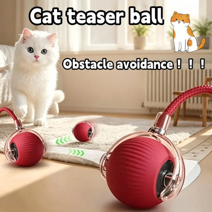 PurrPlay™ Smart Rolling Ball