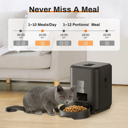 Automatic Cat Feeder