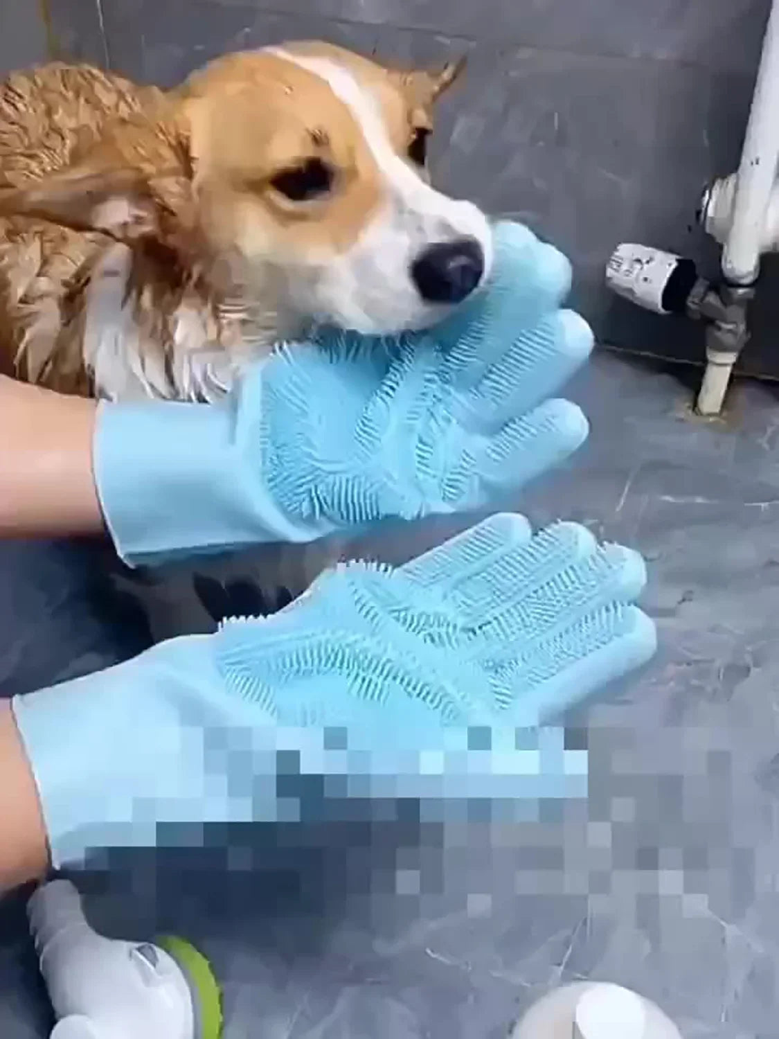 PurrPlay™Bathing Silicone Glove
