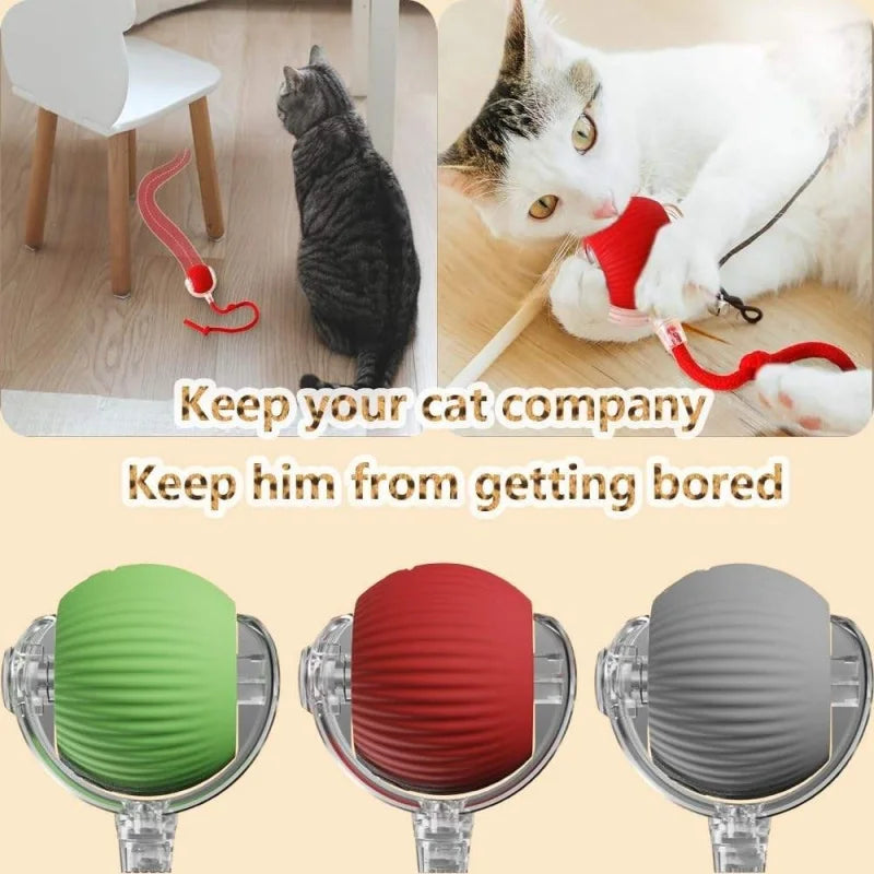 PurrPlay™ Smart Rolling Ball