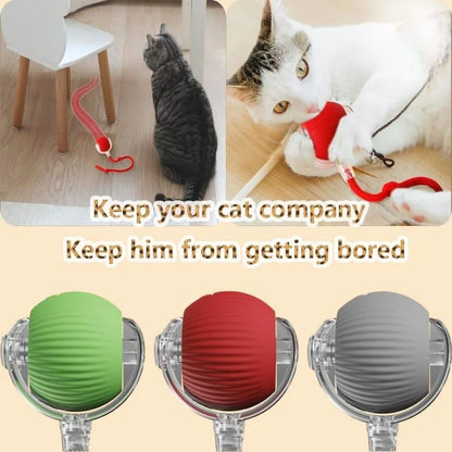 PurrPlay™ Smart Rolling Ball