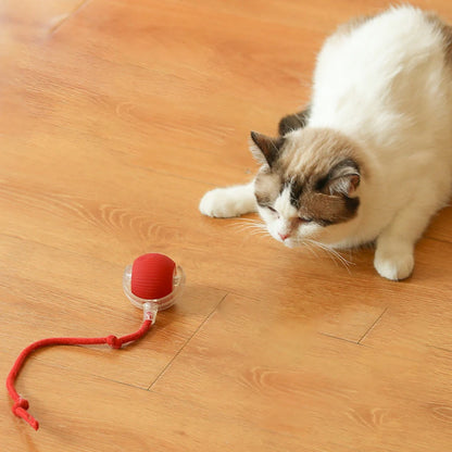 PurrPlay™ Smart Rolling Ball