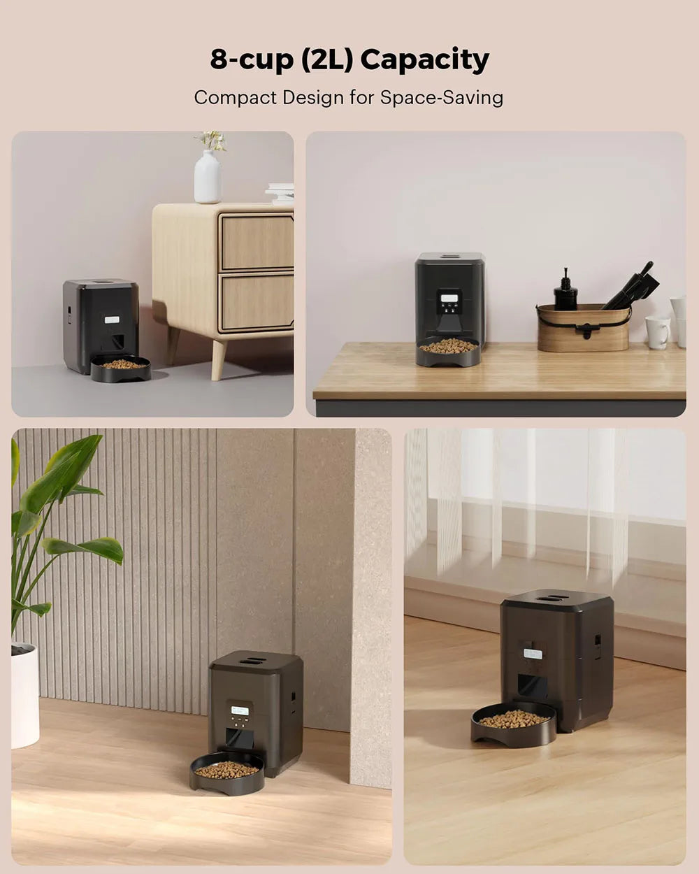 Automatic Cat Feeder