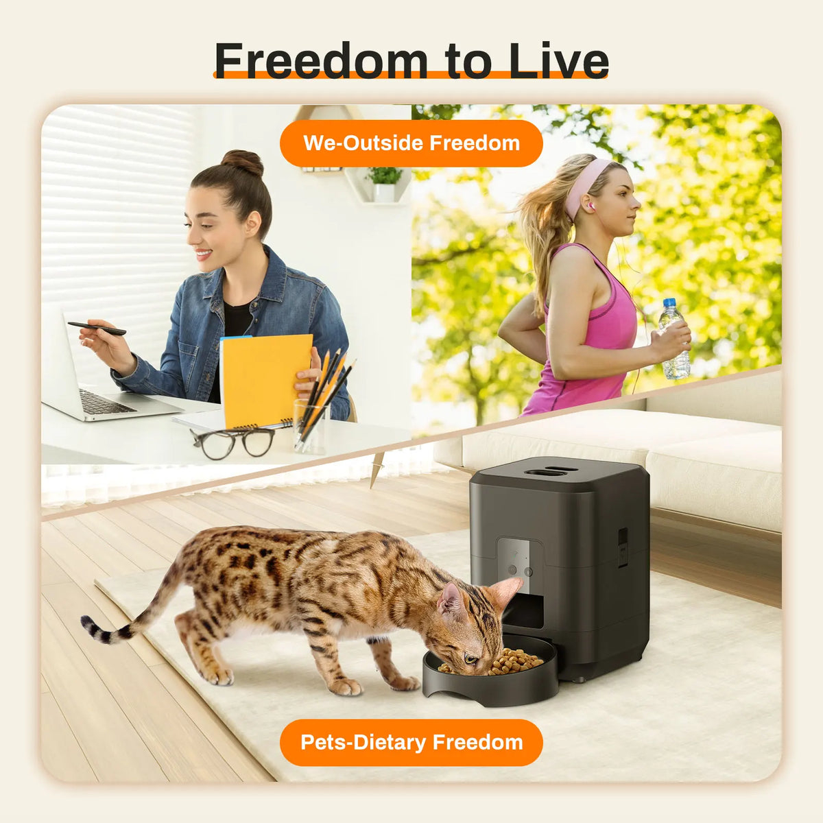 Automatic Cat Feeder