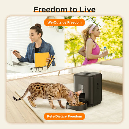 Automatic Cat Feeder